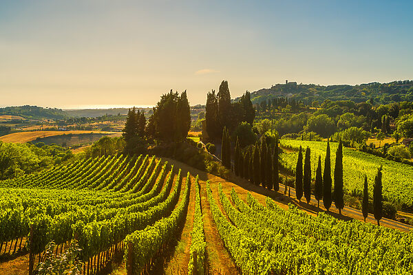 5-Course Tuscan Wine Dinner at Prego